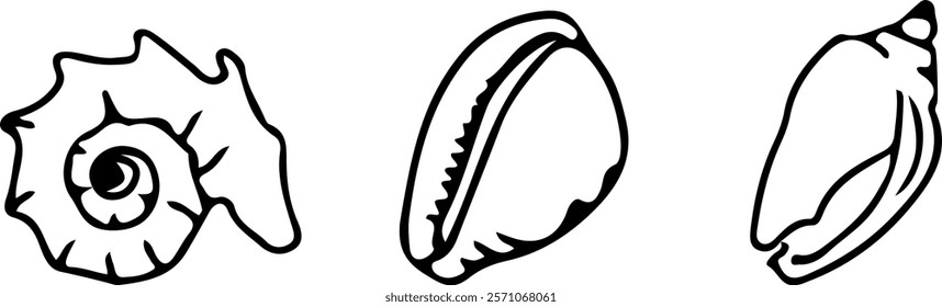 The seashell icon. A set of linear pearl shell icons. Vector icons of seashells. Black linear seashell icons