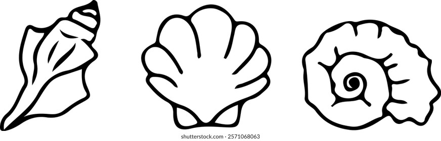 The seashell icon. A set of linear pearl shell icons. Vector icons of seashells. Black linear seashell icons