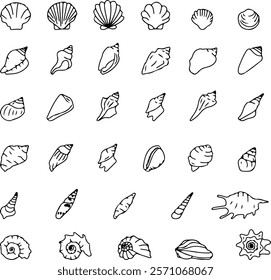 The seashell icon. A set of linear pearl shell icons. Vector icons of seashells. Black linear seashell icons