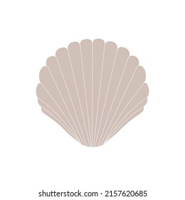 Seashell icon, seashell sign vector graphic, line template on white background, eps 10.Seashells in fashionable minimal style. Shell, snail, scallop illustration and for website, t-shirt print, tattoo