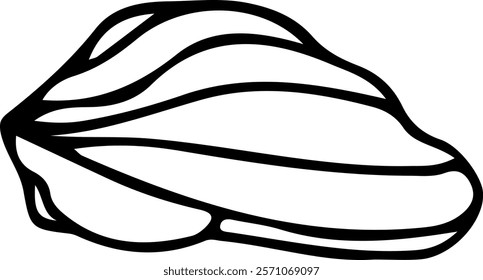 The seashell icon. Vector icon of seashells. Black linear seashell icons