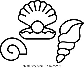  Seashell illustration with isolated background