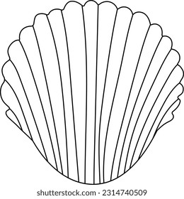 Seashell illustration in line. Element for print, postcard and poster, vector illustration