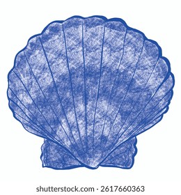 seashell illustration. pattern and more
