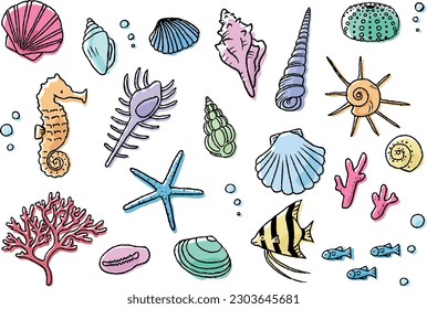 Illustrationssatz für Muscheln - handgezeichnet