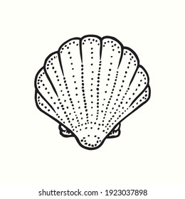 Seashell. Ink black and white doodle drawing in woodcut outline style. Vector illustration
