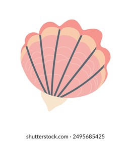 seashell with intricate details, on a white background