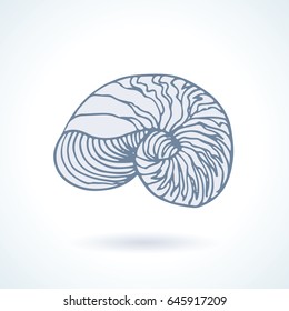 Seashell isolated free hand drawing, sketch style