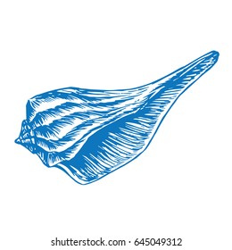 Seashell isolated, hand drawn doodle sketch in pop art style, vector illustration