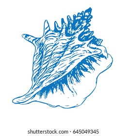 Seashell isolated, hand drawn doodle sketch in pop art style, vector illustration
