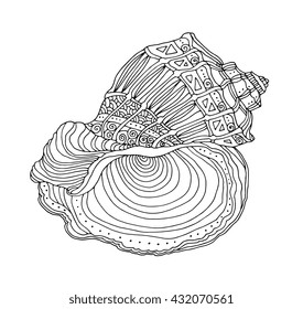 Seashell isolated. Seashell line vector illustration. Zentangle spiral seashell. Coloring book page for adult. Hand drawn shell artwork. Beach concept for restaurant menu card, branding. Black, white