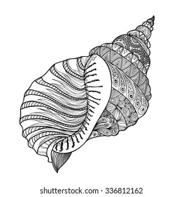 Seashell isolated. Marine life background. Summer holiday sign