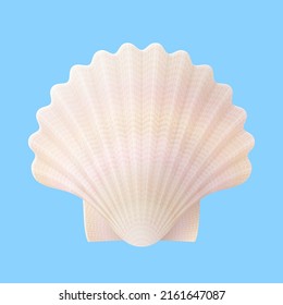 Seashell isolated on blue background. Nacreous scallops shell, top view