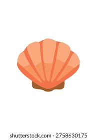 seashell isolated on clean white background