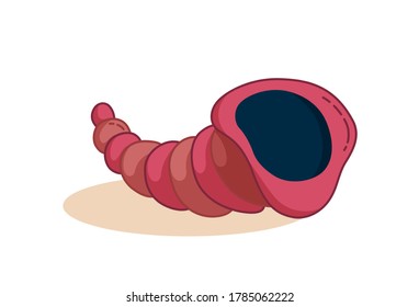 Seashell isolated on white bacground. Tropical shell with shadow. Cartoon vector illustration