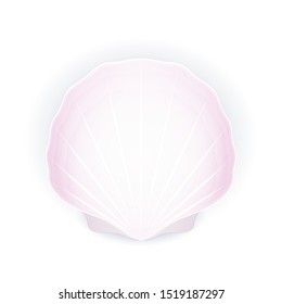 Seashell isolated on white background, pink shell, vector illustration