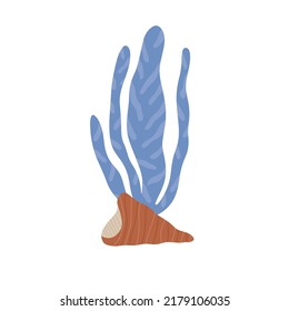 Seashell isolated on a white background. Vector children's illustration in hand drawn style.