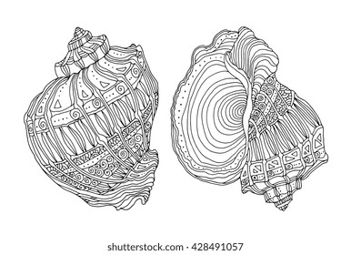 Seashell isolated on white. Snail spiral shells. Vector illustration. Coloring book page for adult. Hand drawn artwork. Beach concept for restaurant menu card. Black and white seashell