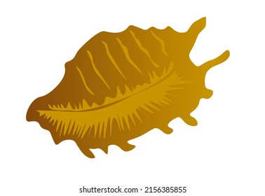Seashell Lambis whelk flat icon isolated on white background. Spider conchs snail shell drawn logo. Painted marine gastropod mollusk clip art element. Exotic ocean fish outline, vector design eps 10