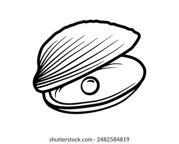 Seashell Line Art Background Illustration