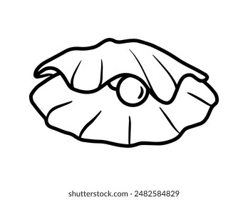 Seashell Line Art Background Illustration