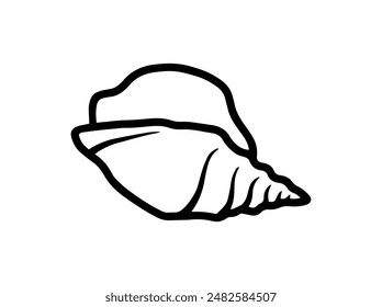 Seashell Line Art Black and White