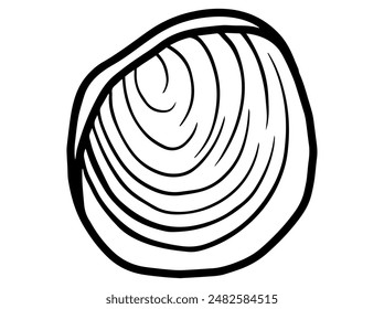 Seashell Line Art Black and White