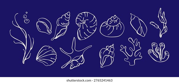 Seashell Line Art Set Minimal and Ocean Elements with starfish coral and marine elements clean ocean doodle style for branding packaging textile wallpaper beach themed design and nautical decor.Vector