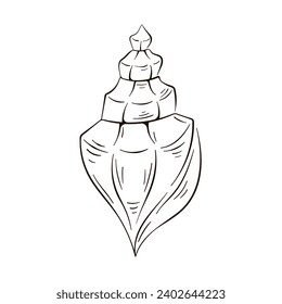 Seashell in line art style. Shell hand drawn simple logo. Vector illustration isolated on a white background.