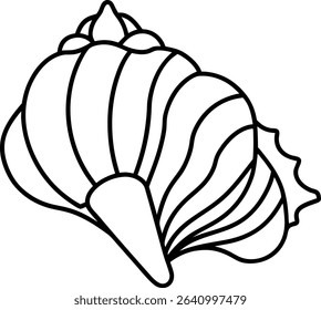seashell line icon sea shell linear style signal on white background