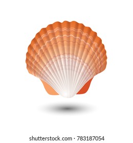 Seashell Logo Isolated Sea Shell Vector Stock Vector (Royalty Free ...