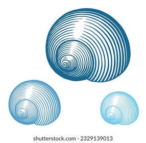 Seashell. Marine life. Editable hand drawn illustration. Vector vintage engraving. Isolated on a white background. 8 EPS