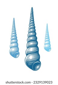 Seashell. Marine life. Editable hand drawn illustration. Vector vintage engraving. Isolated on a white background. 8 EPS