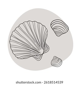 Seashell marine line art icons, ocean and sea beach shells coral underwater hand drawn line 