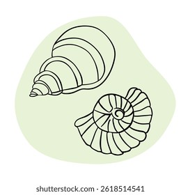 Seashell marine line art icons, ocean and sea beach shells coral underwater hand drawn line 