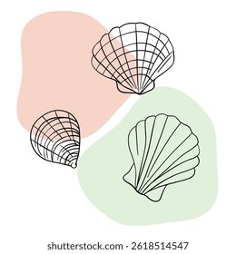 Seashell marine line art icons, ocean and sea beach shells coral underwater hand drawn line 
