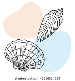 Seashell marine line art icons, ocean and sea beach shells coral underwater hand drawn line 