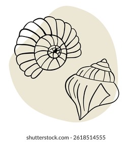 Seashell marine line art icons, ocean and sea beach shells coral underwater hand drawn line 