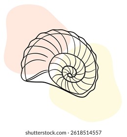 Seashell marine line art icons, ocean and sea beach shells coral underwater hand drawn line 