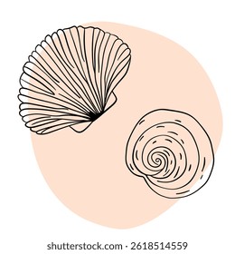 Seashell marine line art icons, ocean and sea beach shells coral underwater hand drawn line 