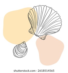 Seashell marine line art icons, ocean and sea beach shells coral underwater hand drawn line 