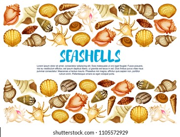 Seashell of marine mollusc banner with border of clam, snail, chiton and tusk shell. Scallop, cockle and turret shell, fighting conch, king crown and pear whelk sea beach mollusk poster design