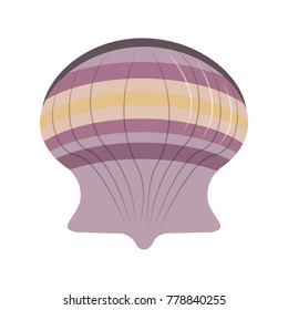 Seashell marine symbol