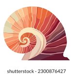 Seashell mollusk nautilus, conch shell over white