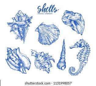 Seashell, Mollusk,sea Shell,nautilus, Nature Sea Vector Set. Sea Shell Hand Drawn Seashell Marine Engraving Illustration On White Background. Sea Shell Etch Sketch Drawing