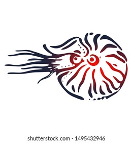 Seashell nautilus. Doodle sea shell. Marine life ornament