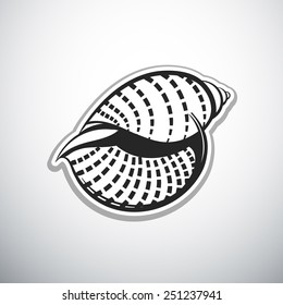seashell nautilus outline vector illustration