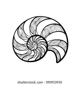 Seashell nautilus. Sea shell set engraved vector illustration isolated on white background. Doodle sea shell. Marine life ornamental zentangle image