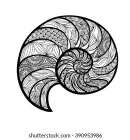 Seashell nautilus. Sea shell set engraved vector illustration isolated on white background. Doodle sea shell. Marine life ornamental zentangle image