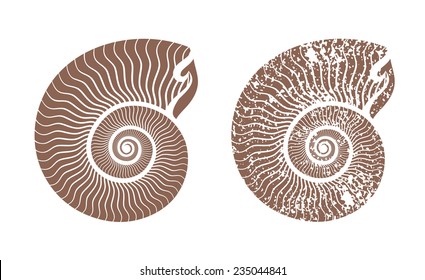 seashell nautilus vector icon illustration